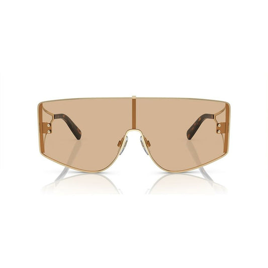 Ladies' Sunglasses Dolce & Gabbana DG 2305-1