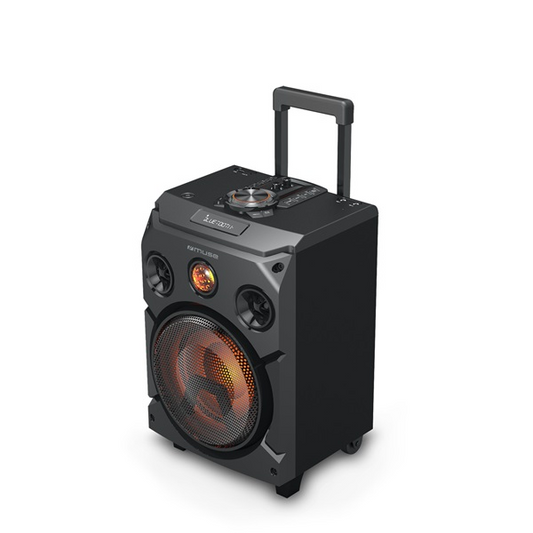 Muse Reproduktor Power Audio Muse M-1915 DJ (M-1915 DJ)-0
